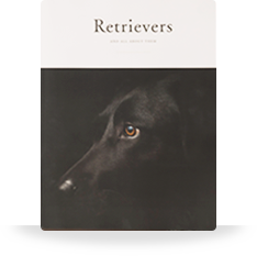 Retrievers and all about them(レトリーバーのすべて)