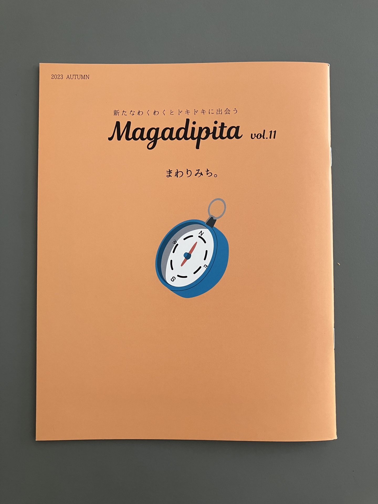 Magadipita vol.11書影