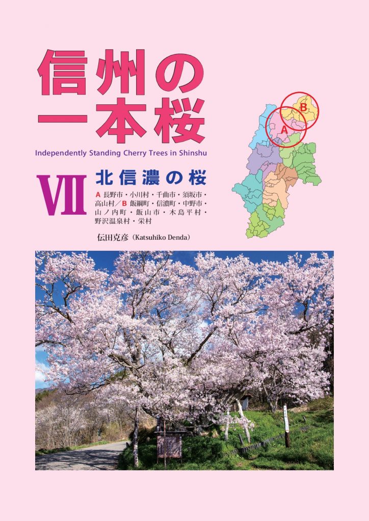 信州の一本桜 Ⅶ 北信濃の桜