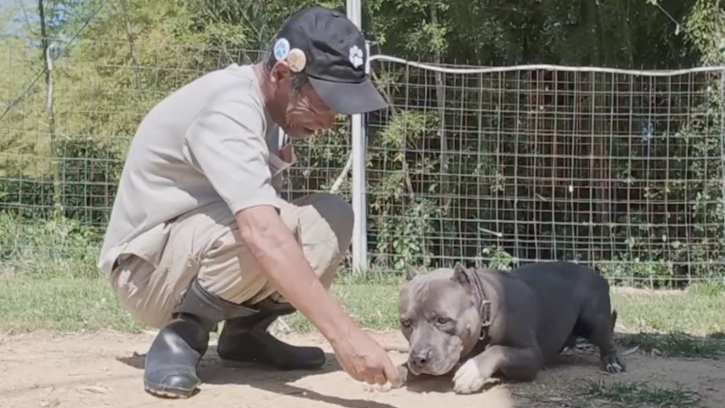 北村紋義（ポチパパ）さんと保護犬の写真2
