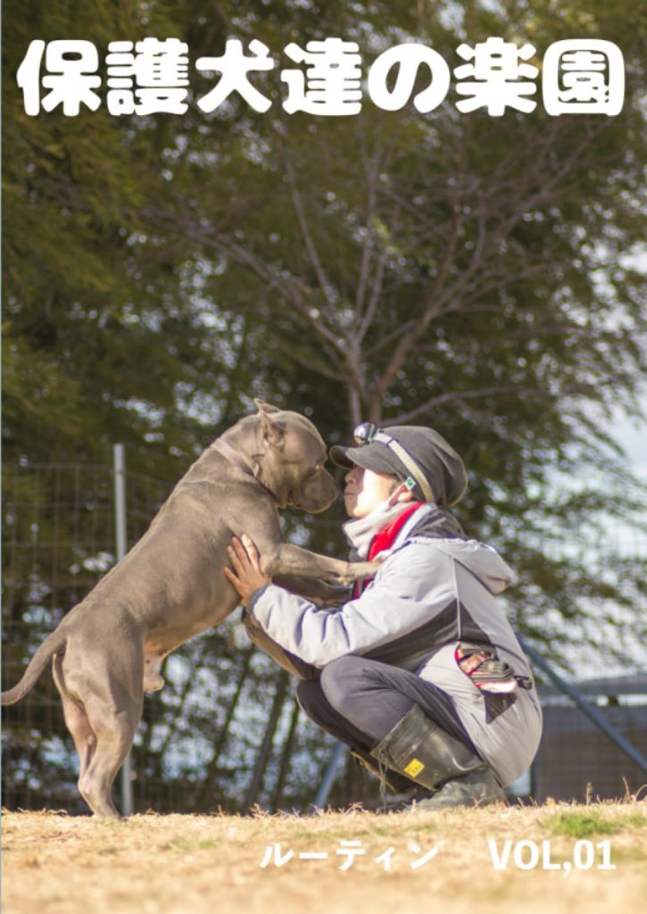 保護犬達の楽園 ルーティン vol.01