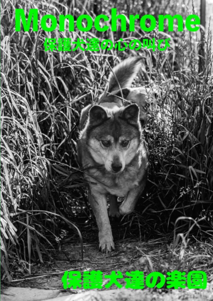 Monochrome 保護犬達の心の叫び