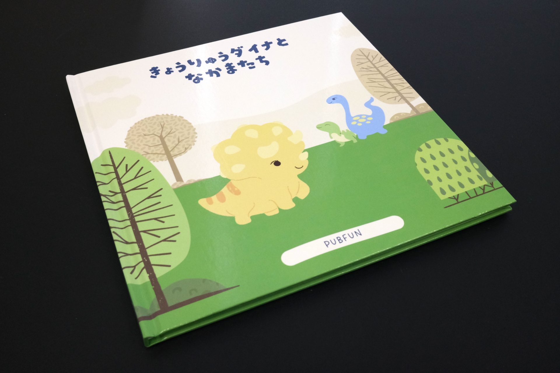 写真の表紙はグロスPPです。